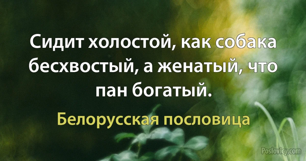 Сидит холостой, как собака бесхвостый, а женатый, что пан богатый. (Белорусская пословица)