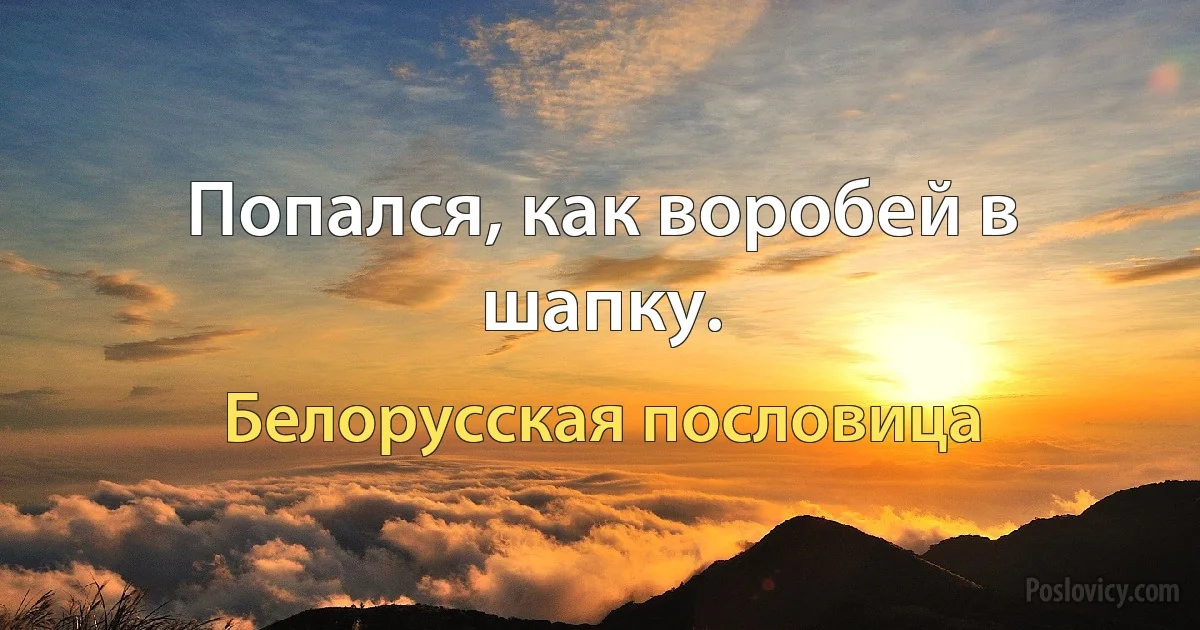 Попался, как воробей в шапку. (Белорусская пословица)