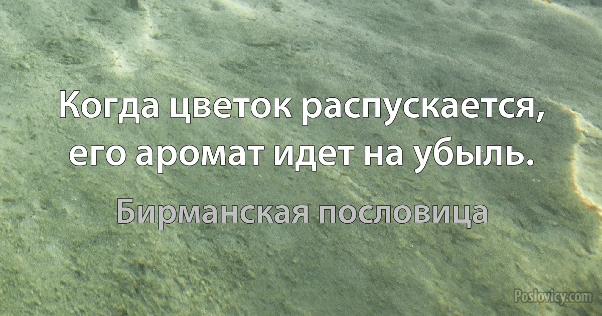 Когда цветок распускается, его аромат идет на убыль. (Бирманская пословица)