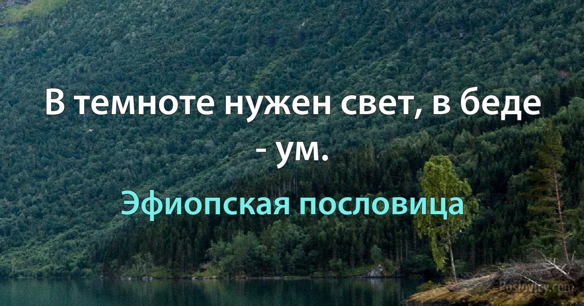 В темноте нужен свет, в беде - ум. (Эфиопская пословица)