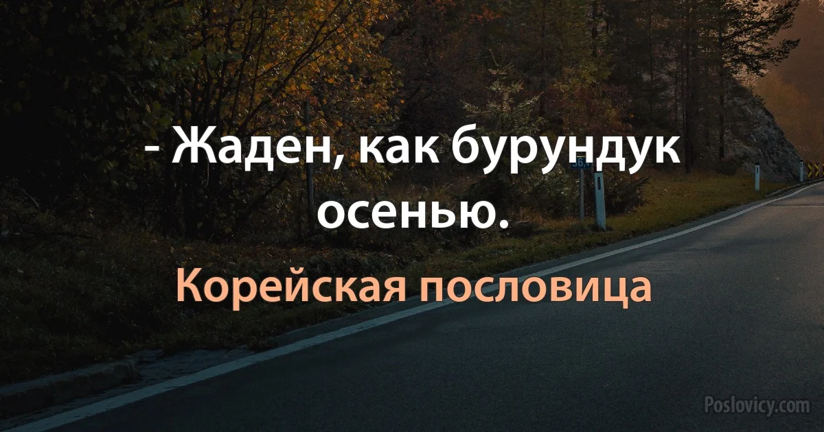 - Жаден, как бурундук осенью. (Корейская пословица)