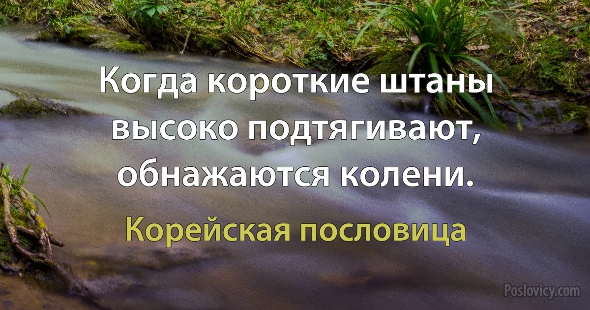 Когда короткие штаны высоко подтягивают, обнажаются колени. (Корейская пословица)