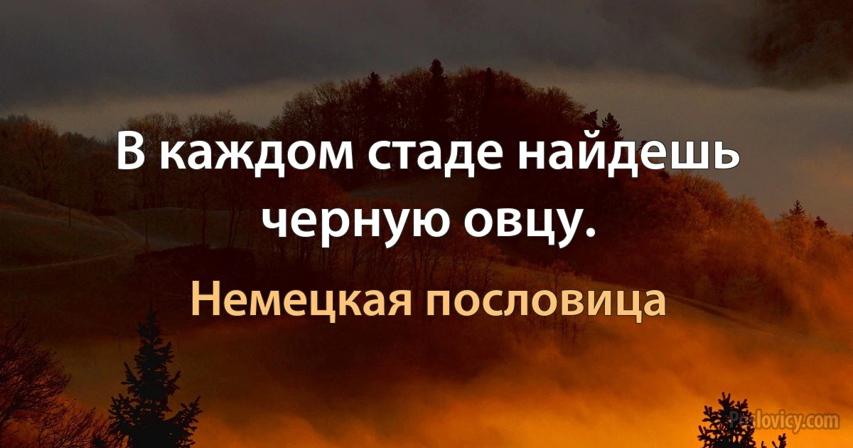 В каждом стаде найдешь черную овцу. (Немецкая пословица)