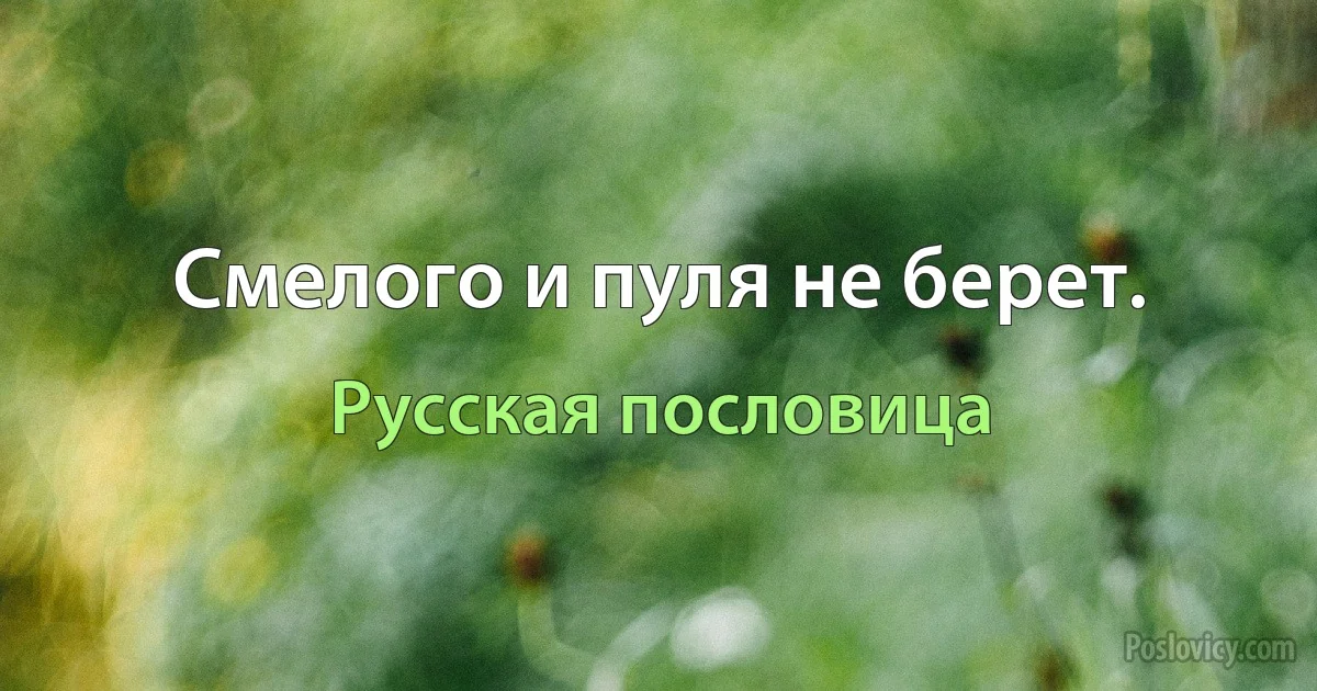 Смелого и пуля не берет. (Русская пословица)