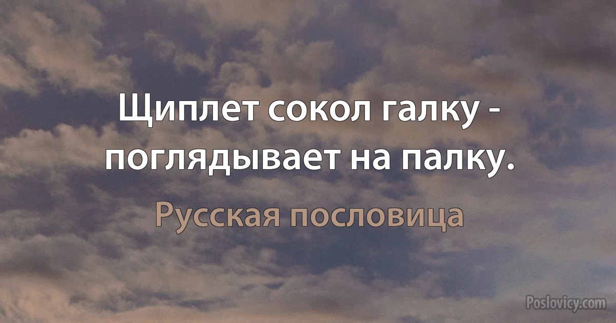 Щиплет сокол галку - поглядывает на палку. (Русская пословица)