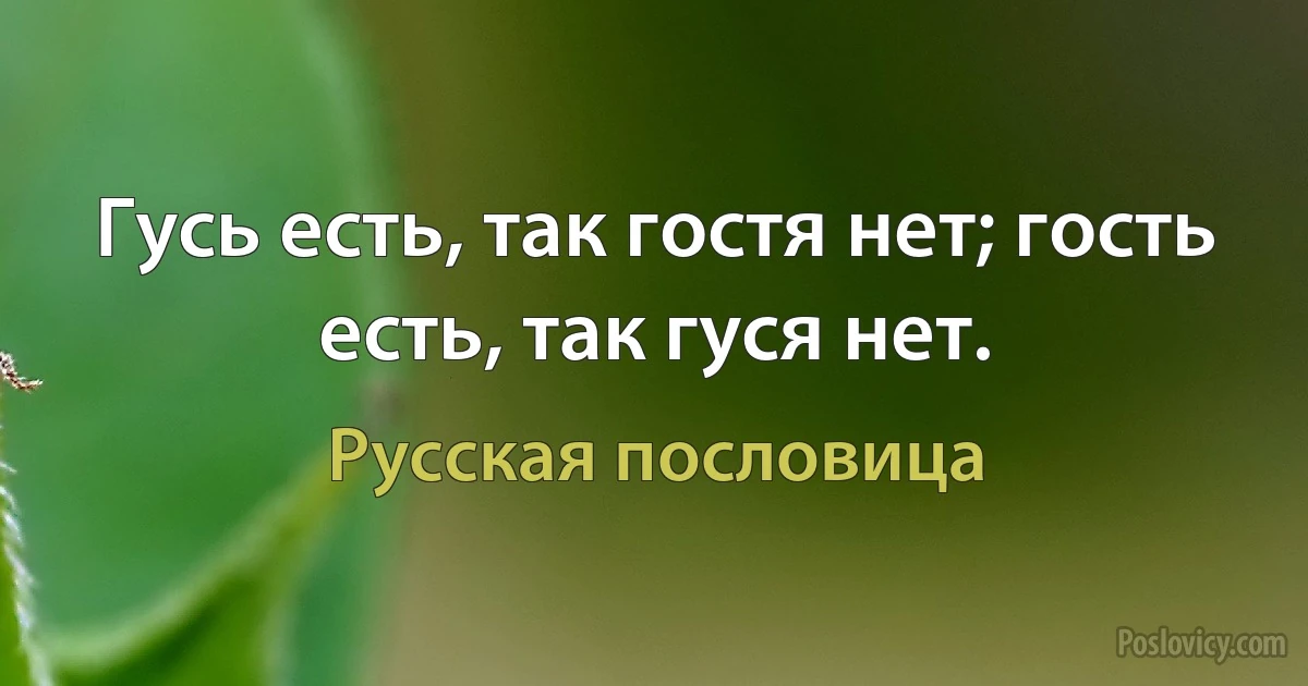 Гусь есть, так гостя нет; гость есть, так гуся нет. (Русская пословица)