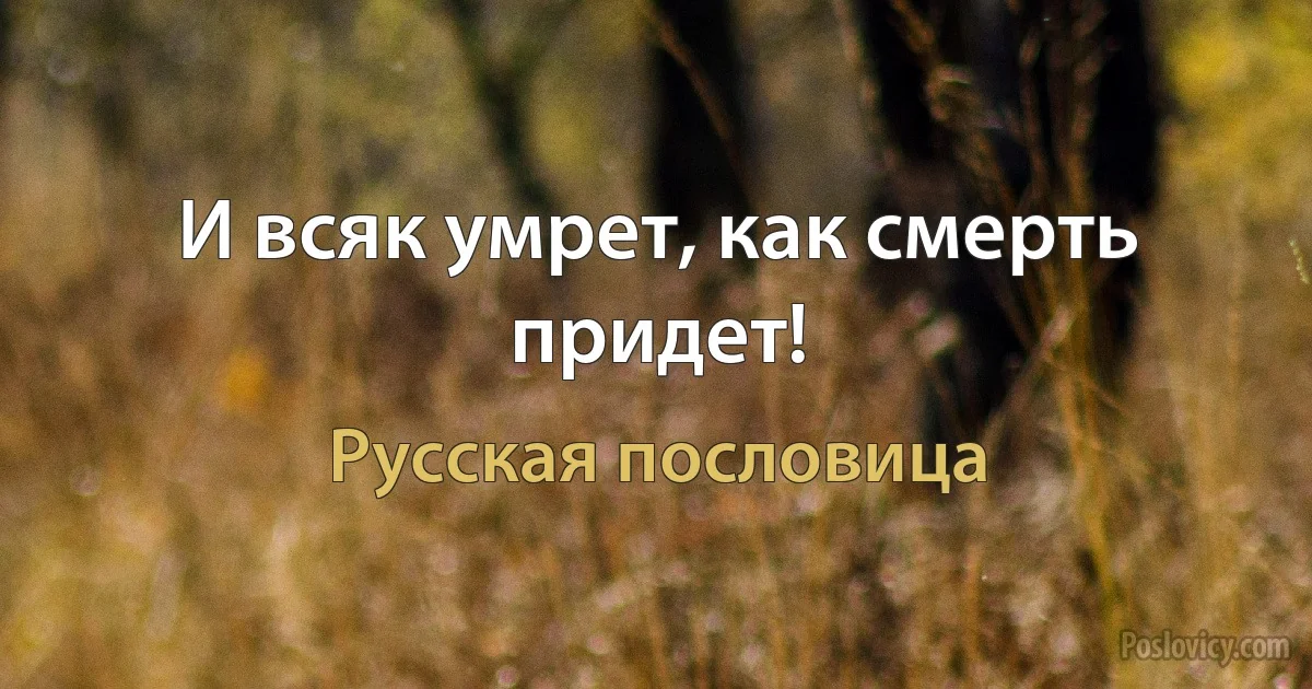 И всяк умрет, как смерть придет! (Русская пословица)