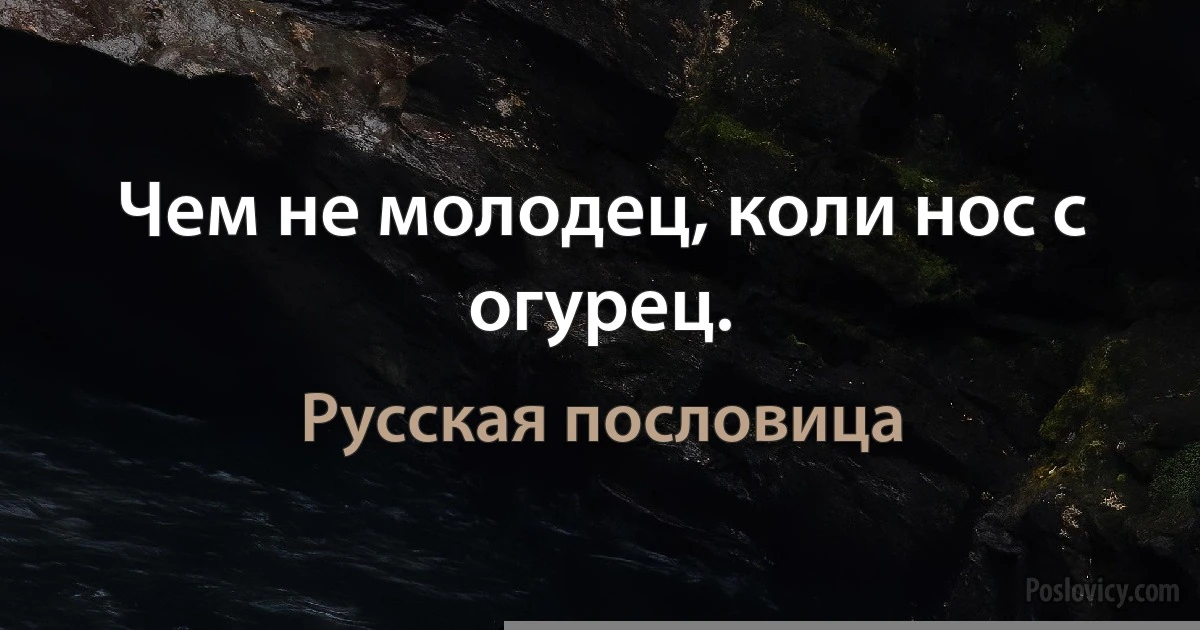 Чем не молодец, коли нос с огурец. (Русская пословица)