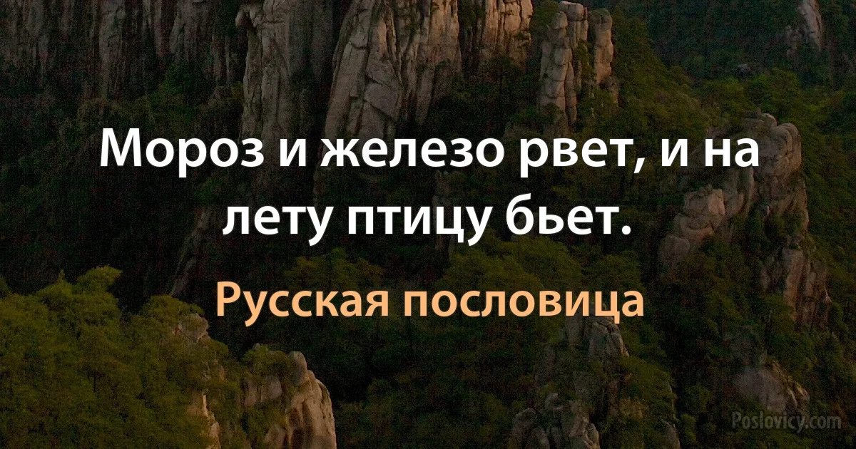 Мороз и железо рвет, и на лету птицу бьет. (Русская пословица)