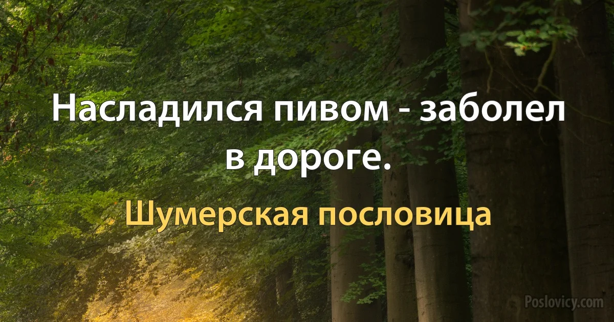 Насладился пивом - заболел в дороге. (Шумерская пословица)