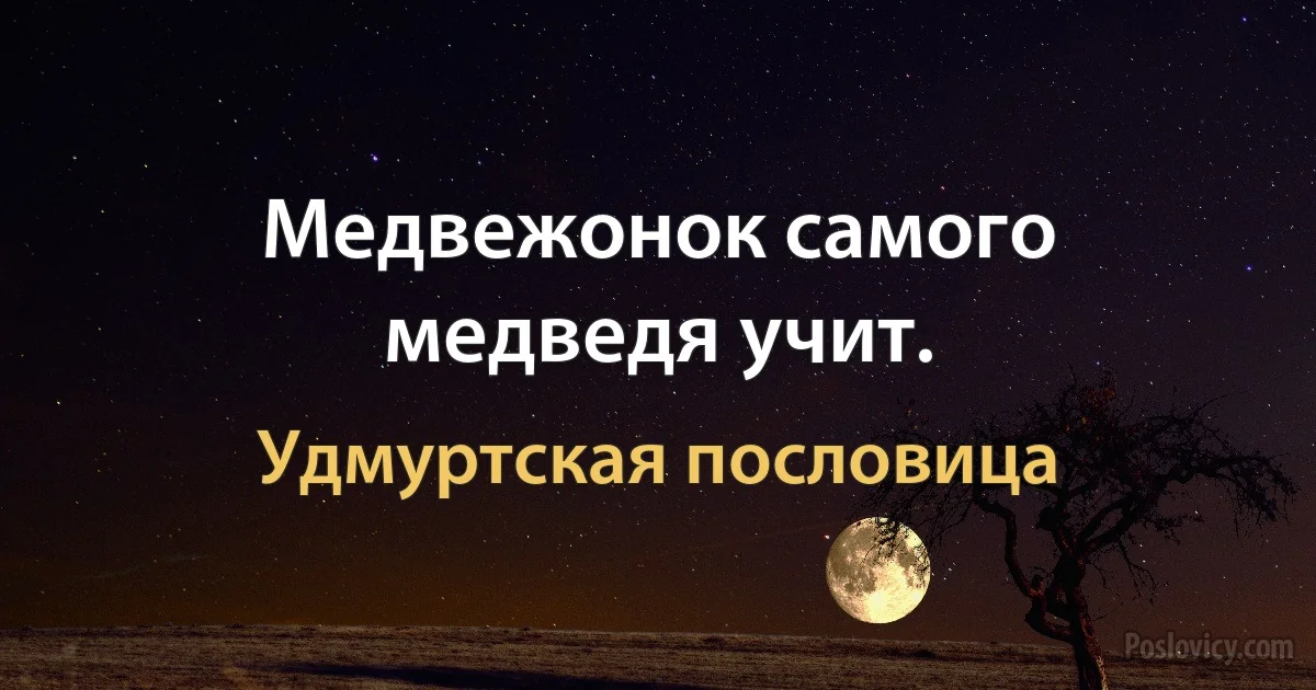 Медвежонок самого медведя учит. (Удмуртская пословица)