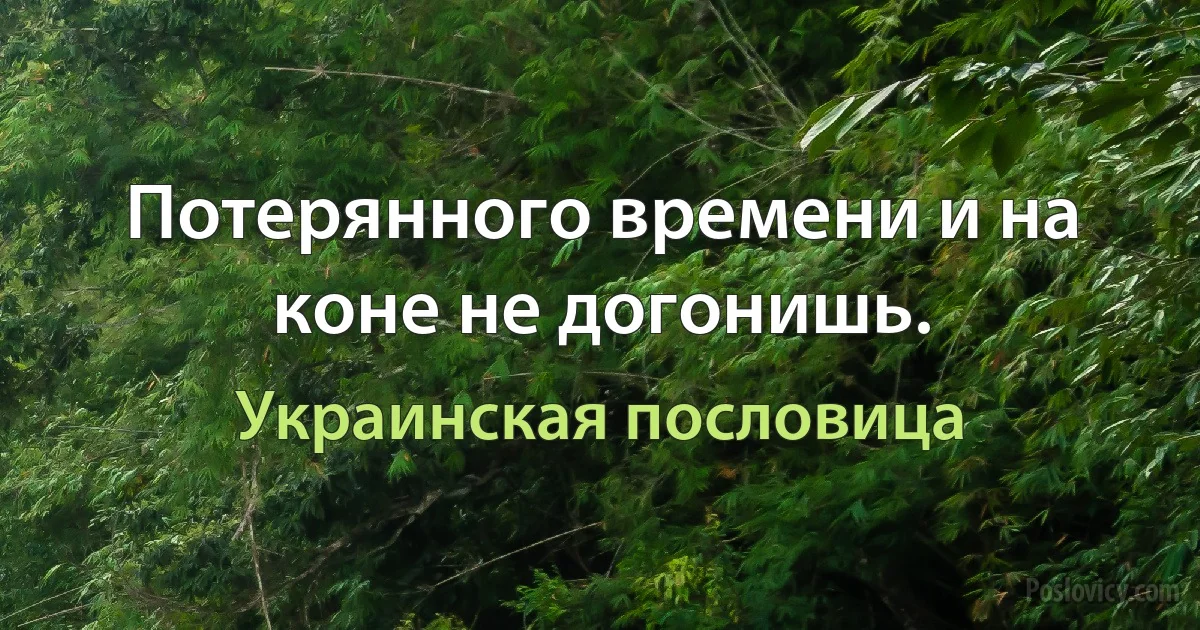 Потерянного времени и на коне не догонишь. (Украинская пословица)