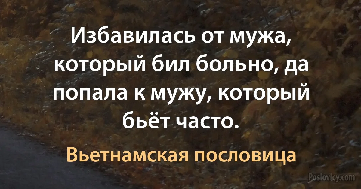 Избавилась от мужа, который бил больно, да попала к мужу, который бьёт часто. (Вьетнамская пословица)