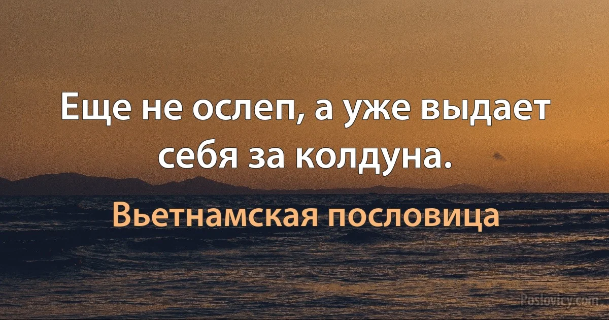 Еще не ослеп, а уже выдает себя за колдуна. (Вьетнамская пословица)