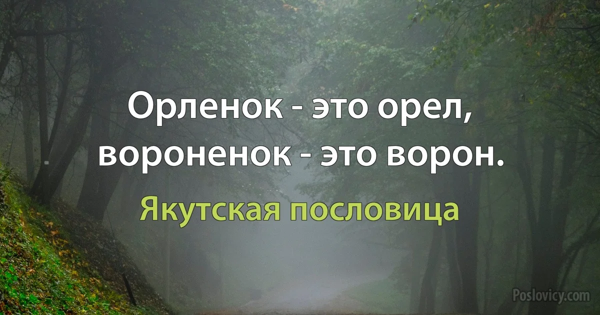 Орленок - это орел, вороненок - это ворон. (Якутская пословица)