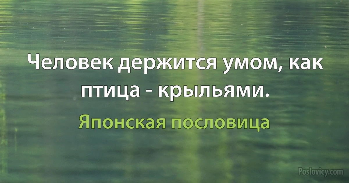 Человек держится умом, как птица - крыльями. (Японская пословица)