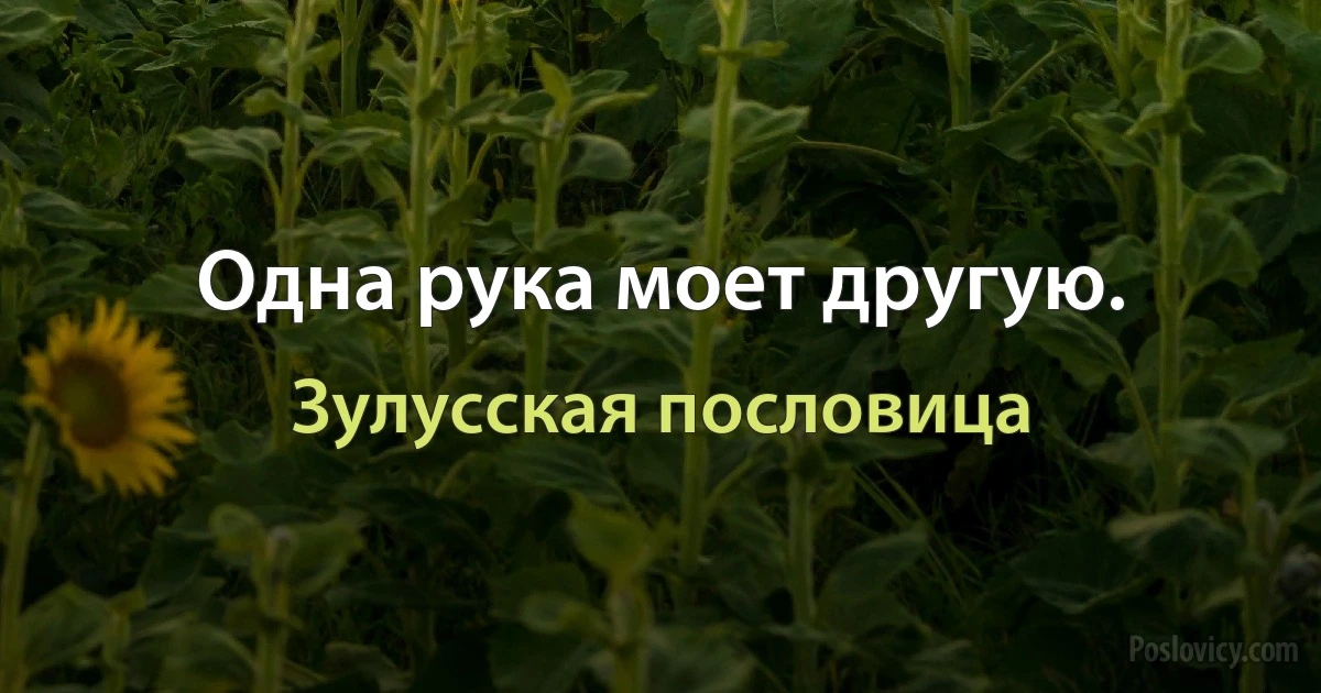 Одна рука моет другую. (Зулусская пословица)