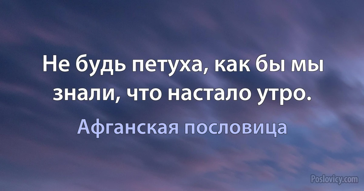 Не будь петуха, как бы мы знали, что настало утро. (Афганская пословица)