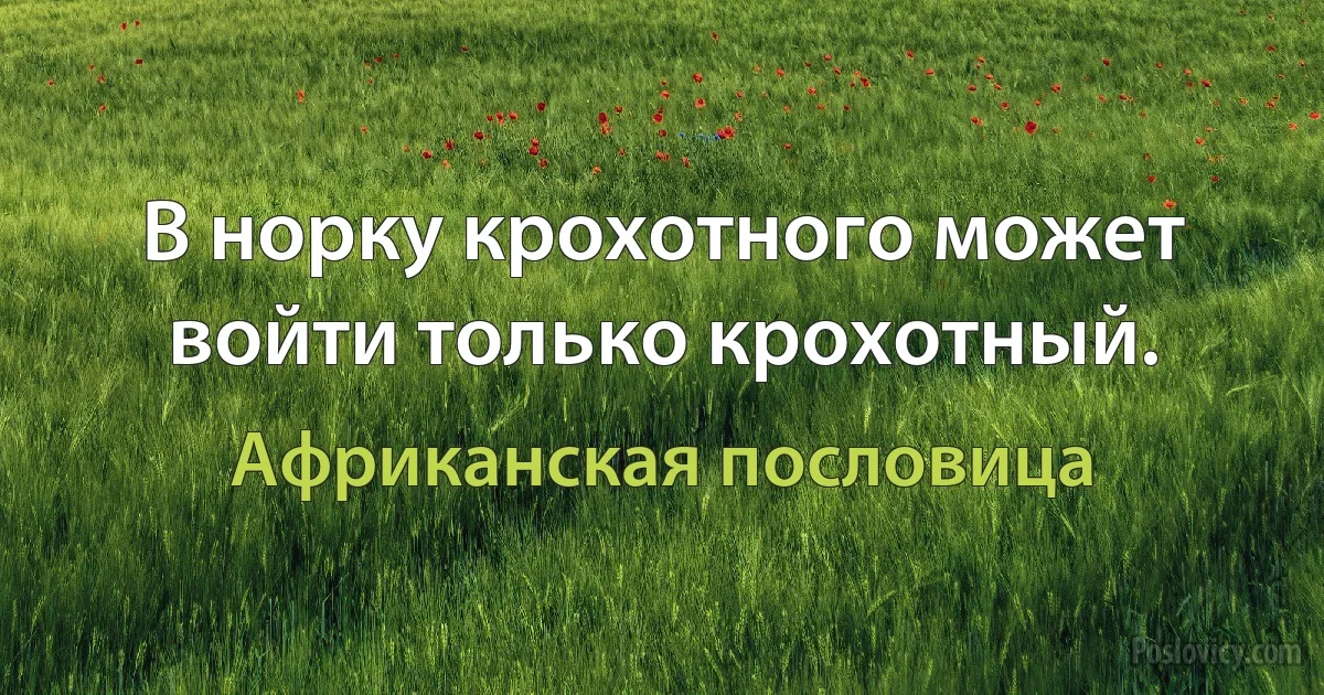 В норку крохотного может войти только крохотный. (Африканская пословица)