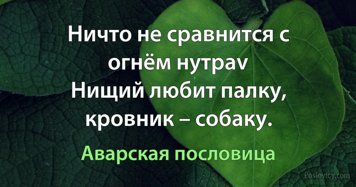 Ничто не сравнится с огнём нутраv
Нищий любит палку, кровник – собаку. (Аварская пословица)