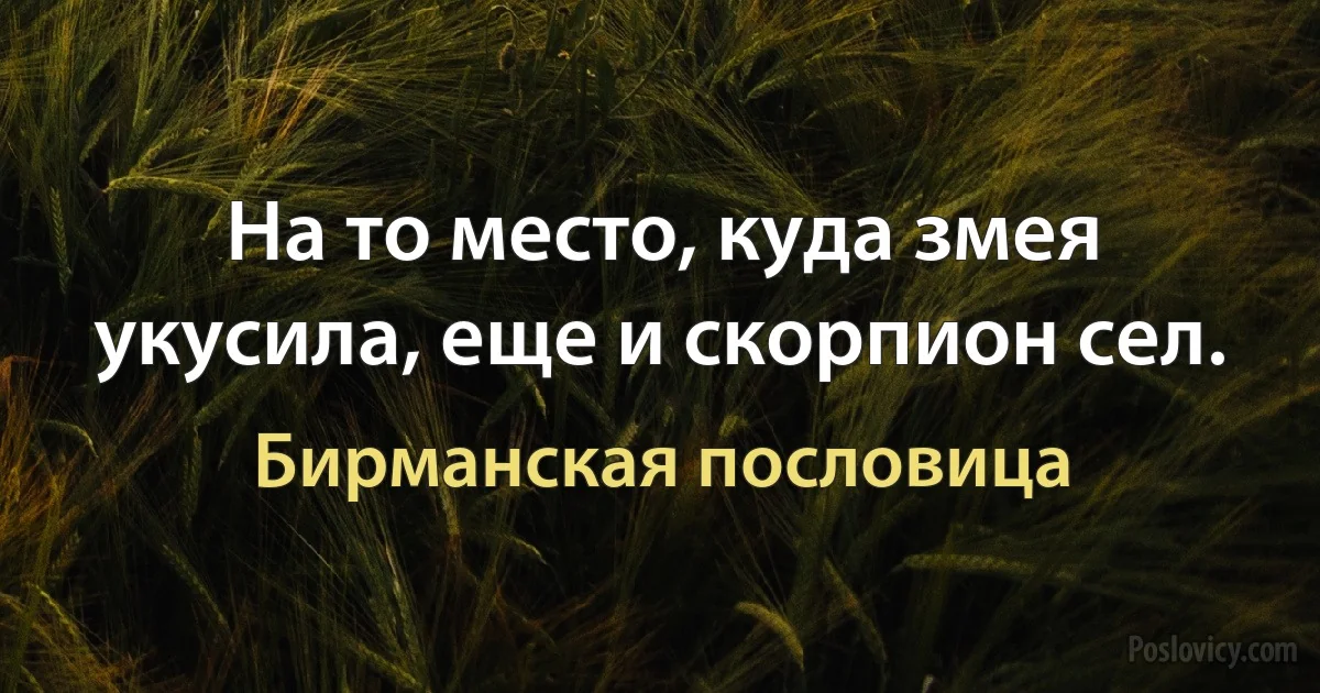 На то место, куда змея укусила, еще и скорпион сел. (Бирманская пословица)