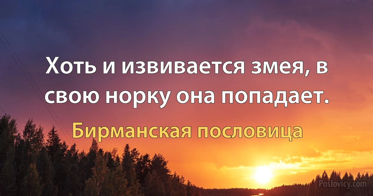 Хоть и извивается змея, в свою норку она попадает. (Бирманская пословица)