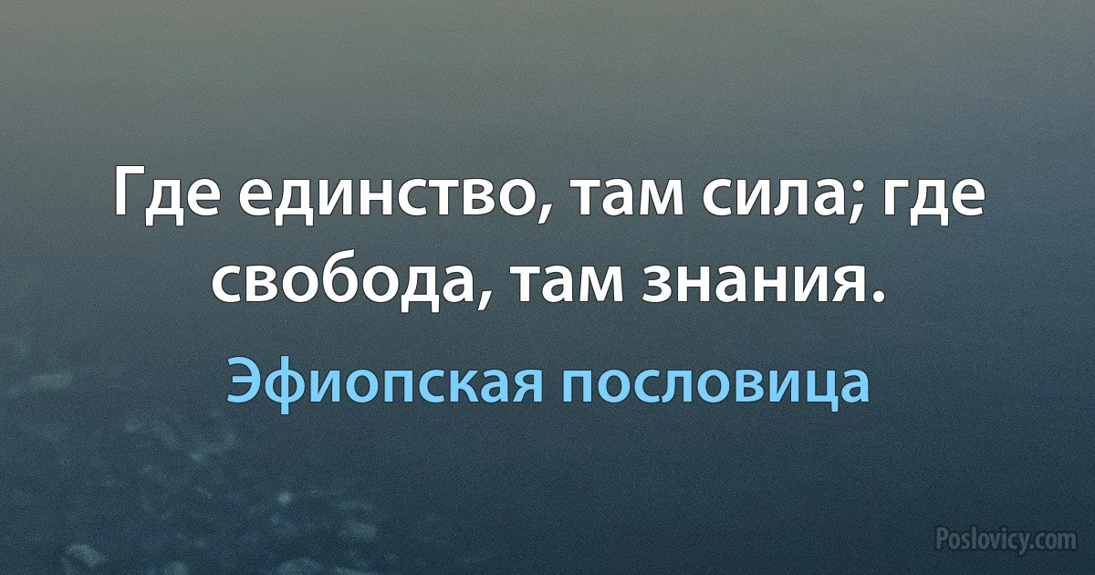 Где единство, там сила; где свобода, там знания. (Эфиопская пословица)