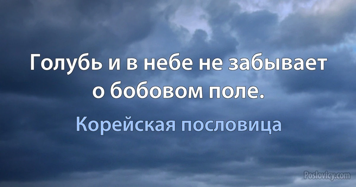 Голубь и в небе не забывает о бобовом поле. (Корейская пословица)