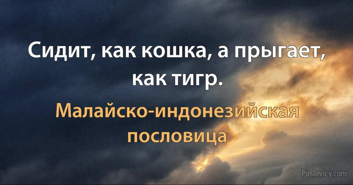 Сидит, как кошка, а прыгает, как тигр. (Малайско-индонезийская пословица)