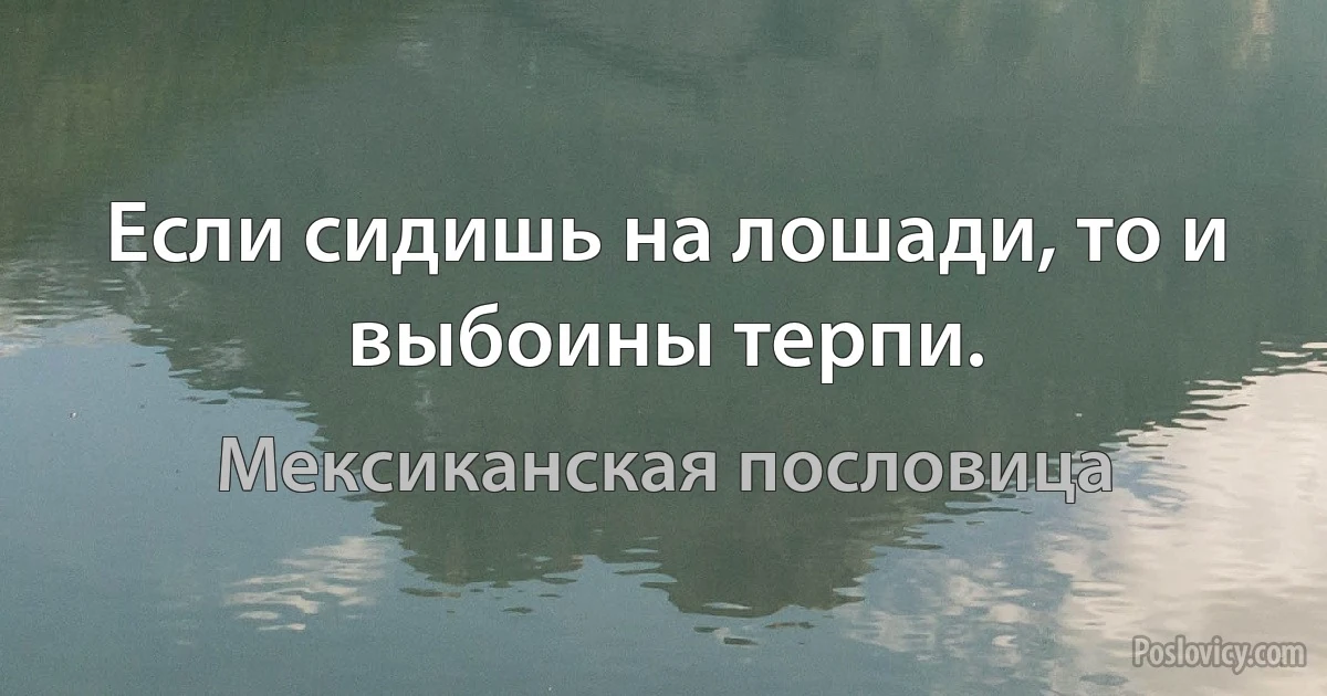 Если сидишь на лошади, то и выбоины терпи. (Мексиканская пословица)