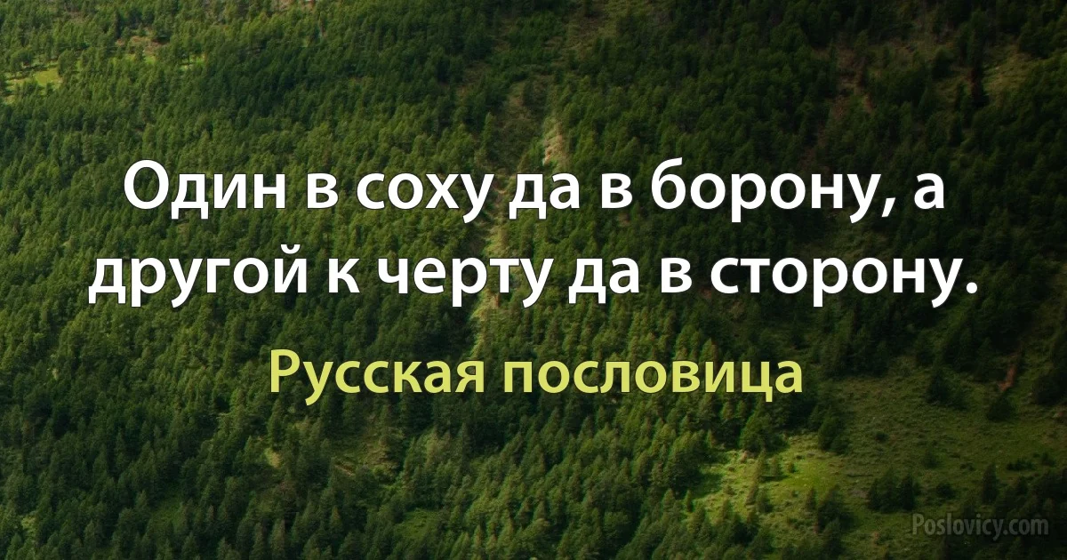 Один в соху да в борону, а другой к черту да в сторону. (Русская пословица)