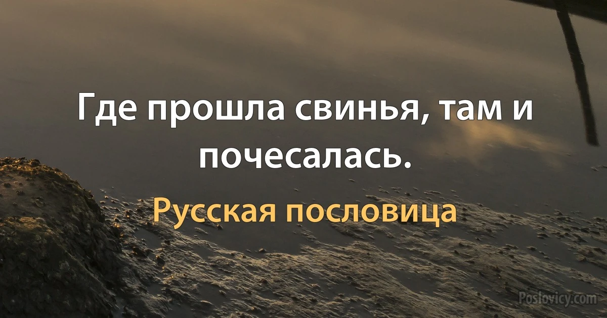 Где прошла свинья, там и почесалась. (Русская пословица)