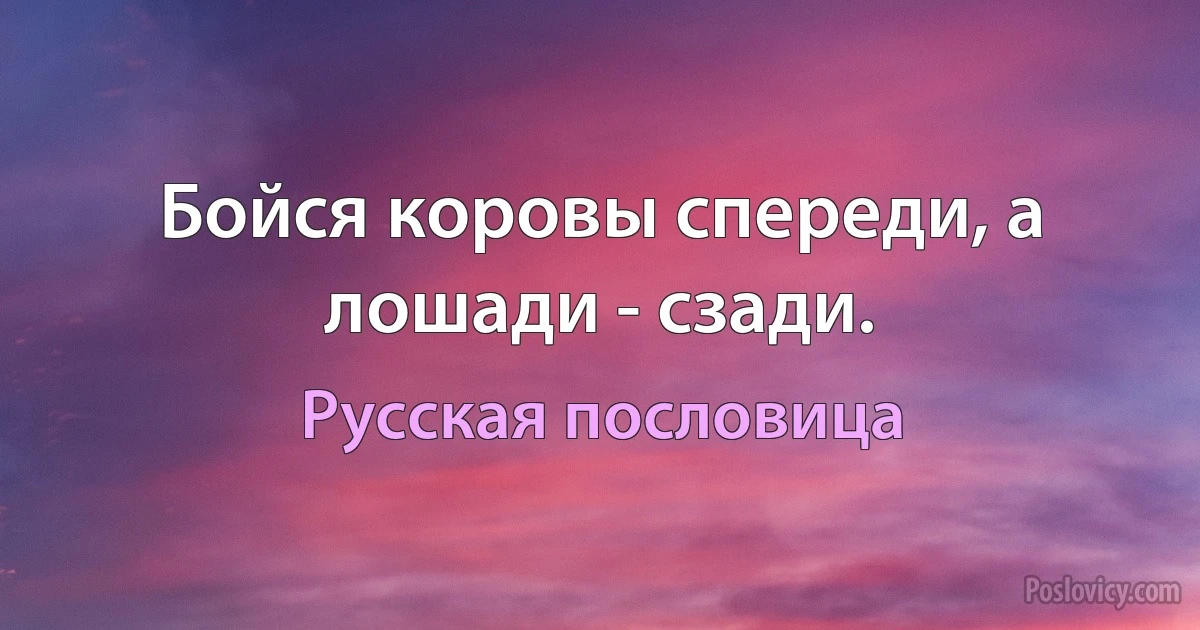 Бойся коровы спереди, а лошади - сзади. (Русская пословица)