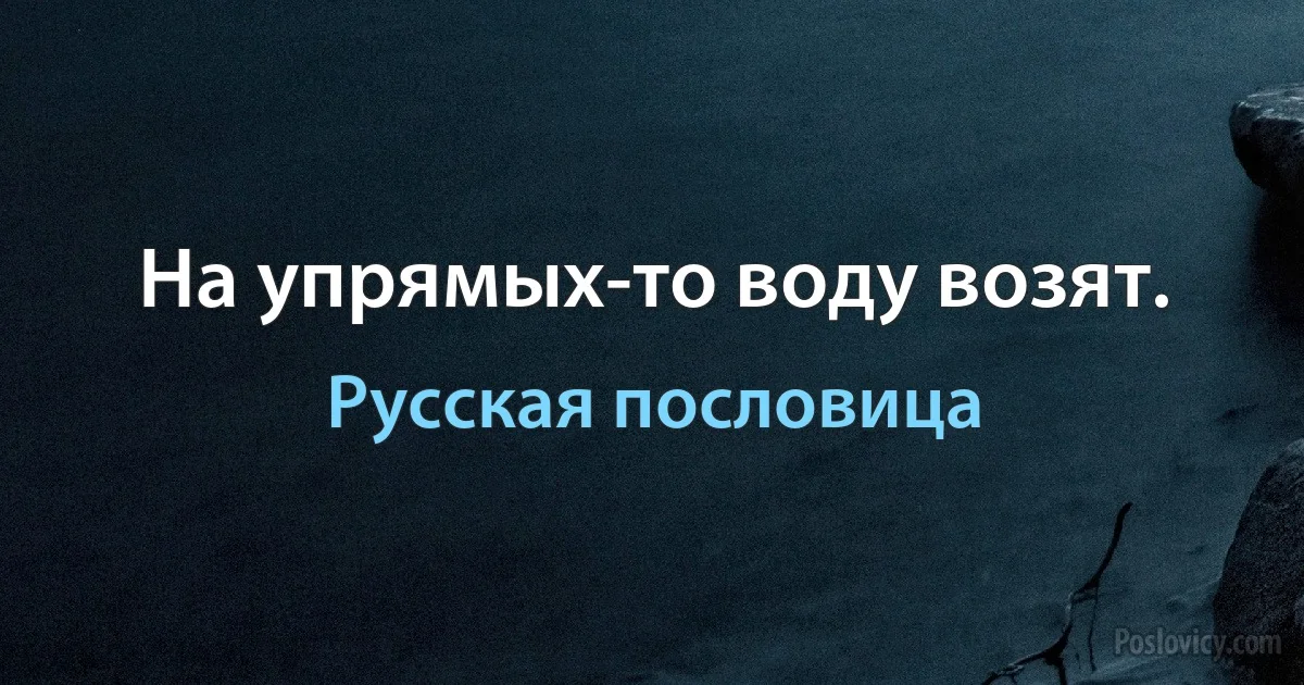 На упрямых-то воду возят. (Русская пословица)