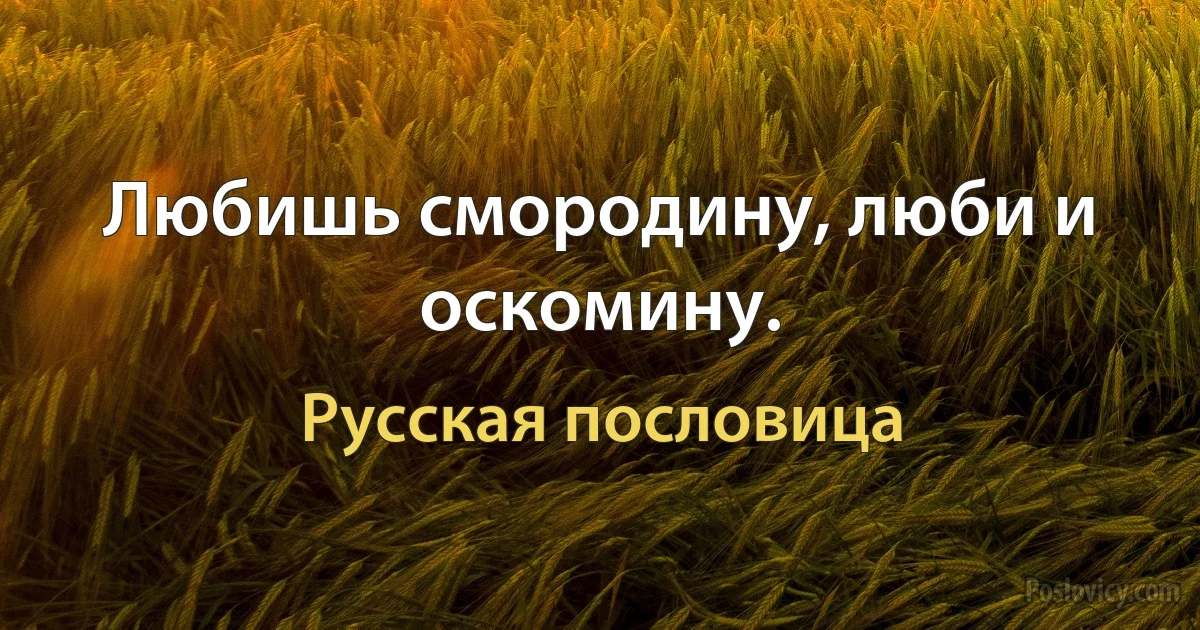 Любишь смородину, люби и оскомину. (Русская пословица)