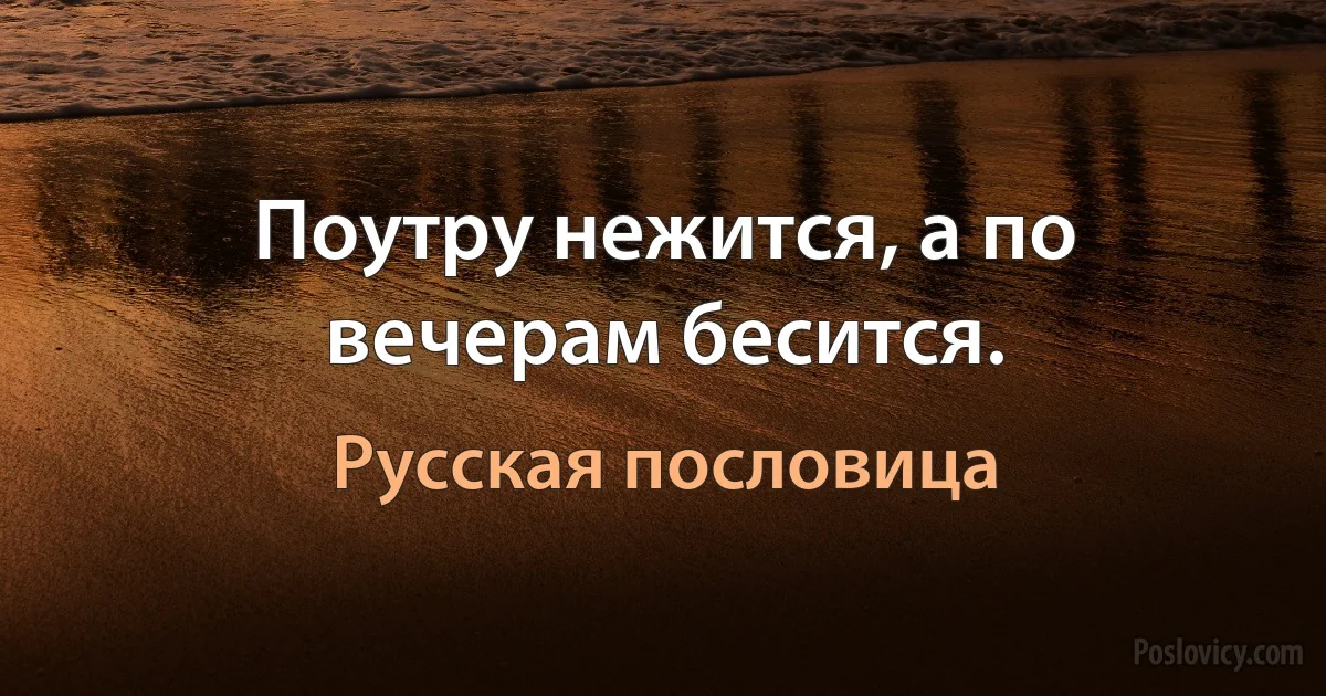 Поутру нежится, а по вечерам бесится. (Русская пословица)