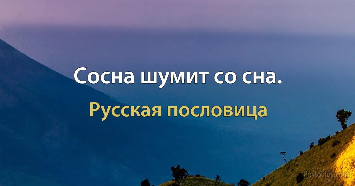 Сосна шумит со сна. (Русская пословица)