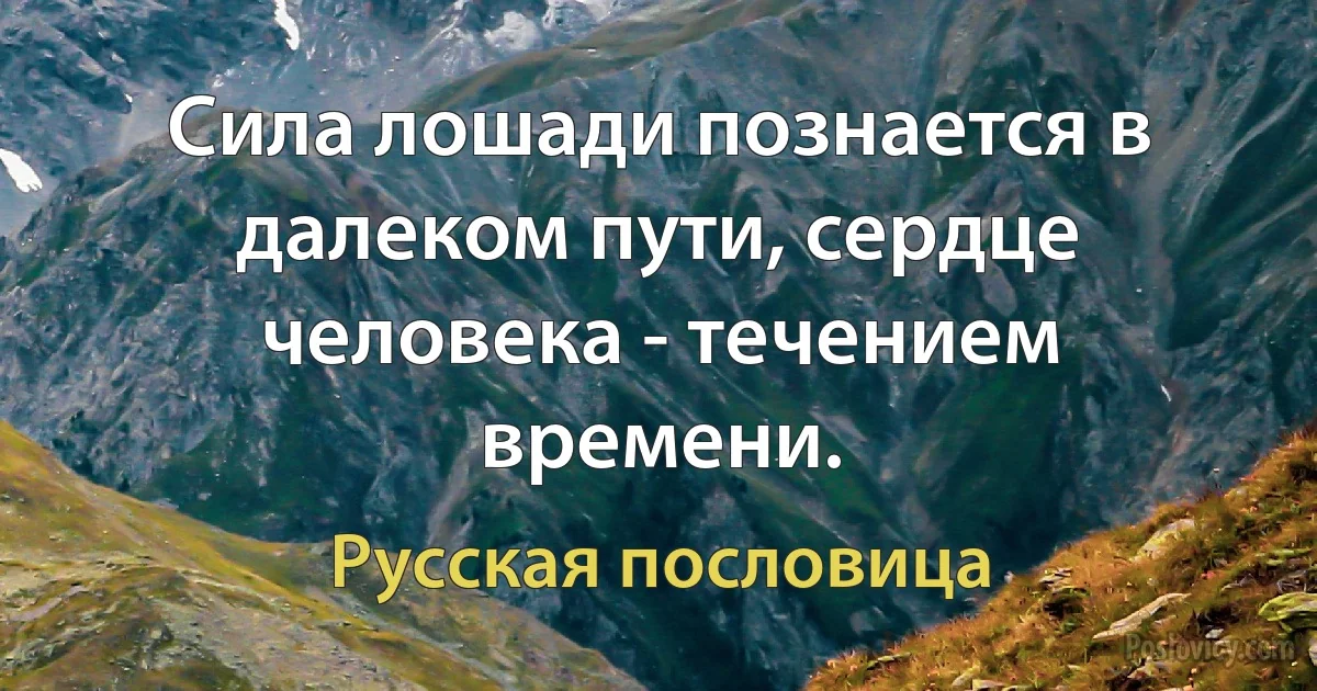 Сила лошади познается в далеком пути, сердце человека - течением времени. (Русская пословица)