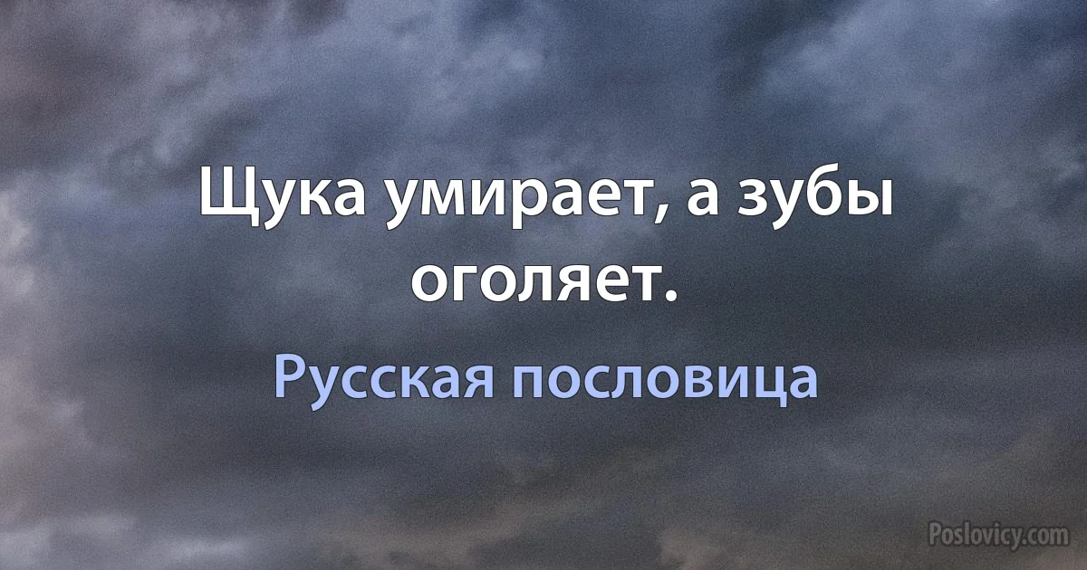 Щука умирает, а зубы оголяет. (Русская пословица)