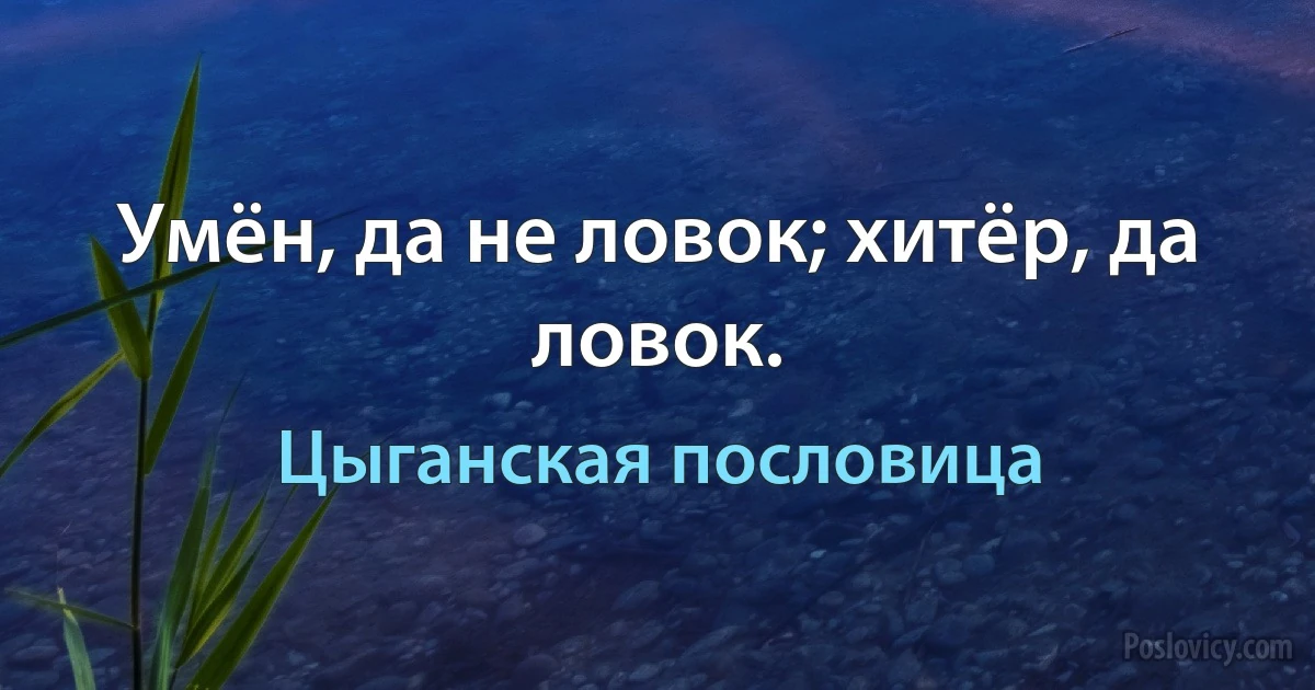 Умён, да не ловок; хитёр, да ловок. (Цыганская пословица)