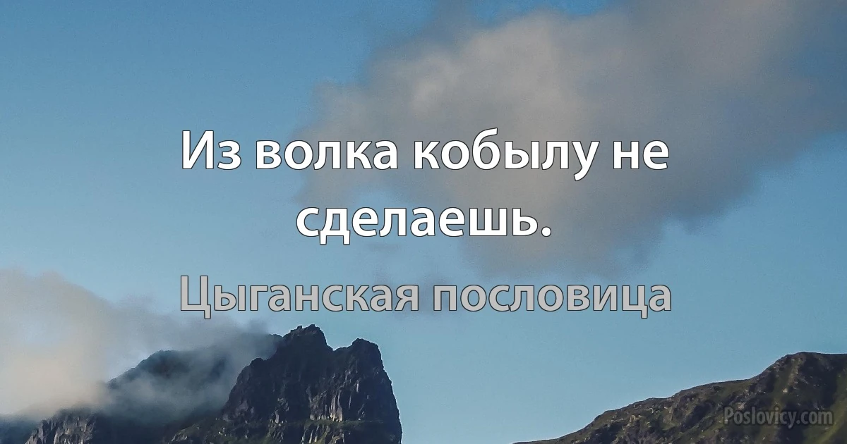 Из волка кобылу не сделаешь. (Цыганская пословица)