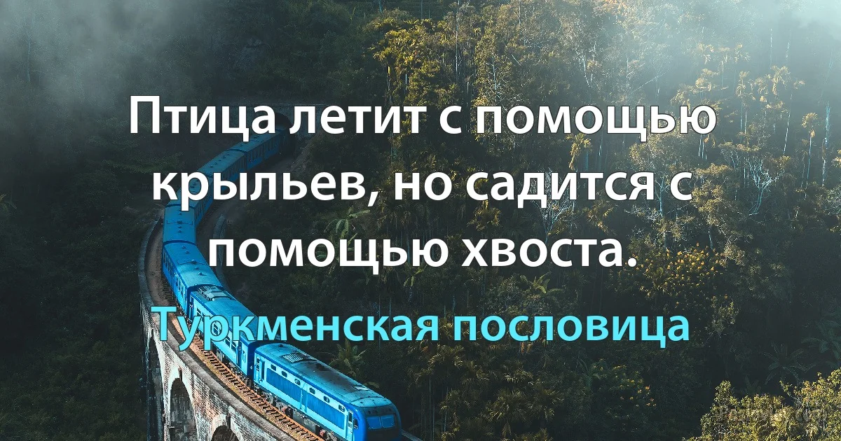 Птица летит с помощью крыльев, но садится с помощью хвоста. (Туркменская пословица)