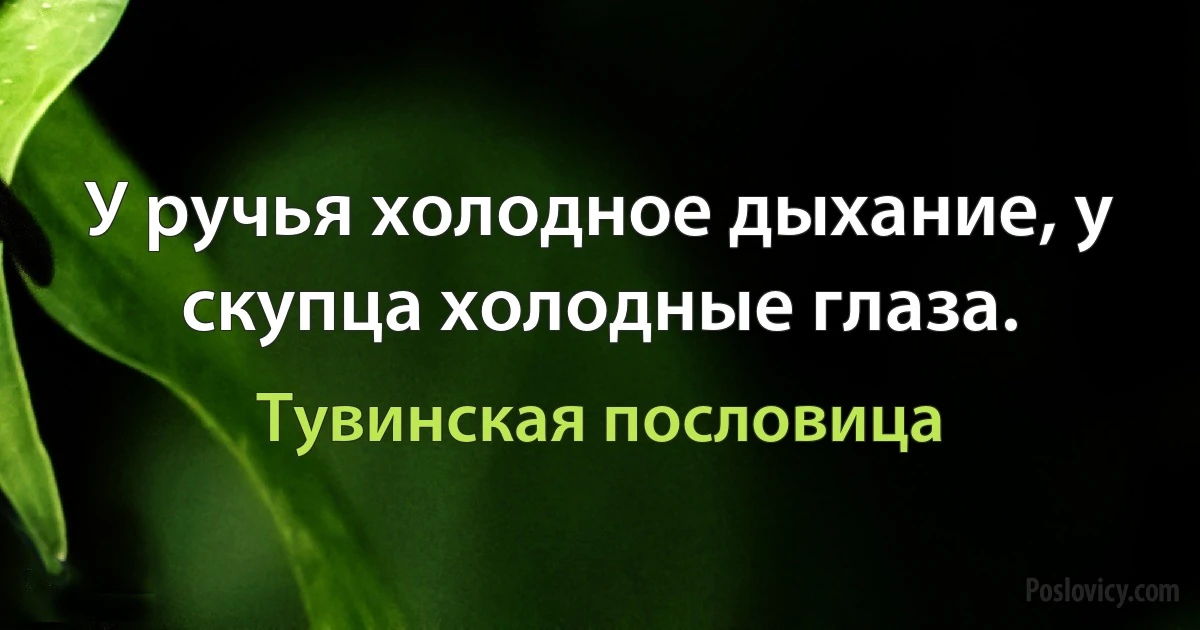 У ручья холодное дыхание, у скупца холодные глаза. (Тувинская пословица)