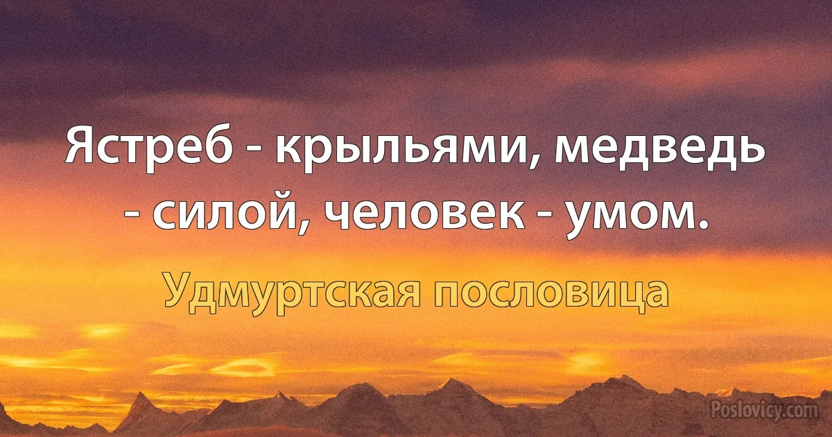 Ястреб - крыльями, медведь - силой, человек - умом. (Удмуртская пословица)