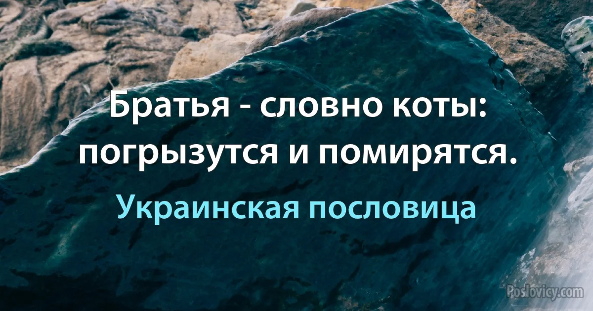 Братья - словно коты: погрызутся и помирятся. (Украинская пословица)