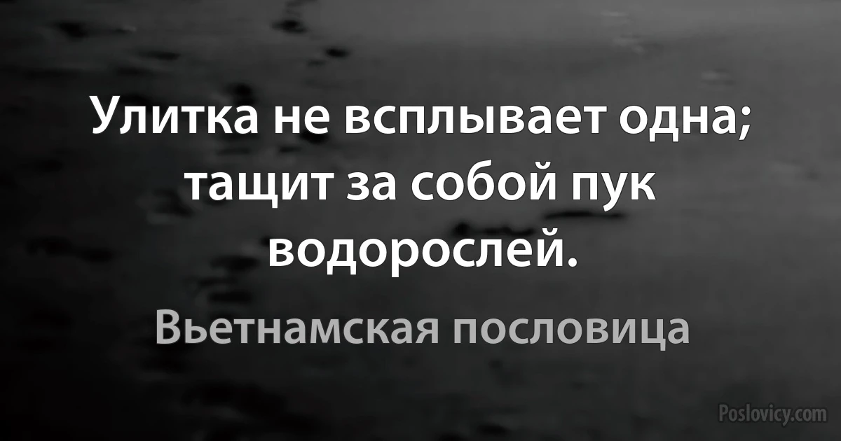 Улитка не всплывает одна; тащит за собой пук водорослей. (Вьетнамская пословица)