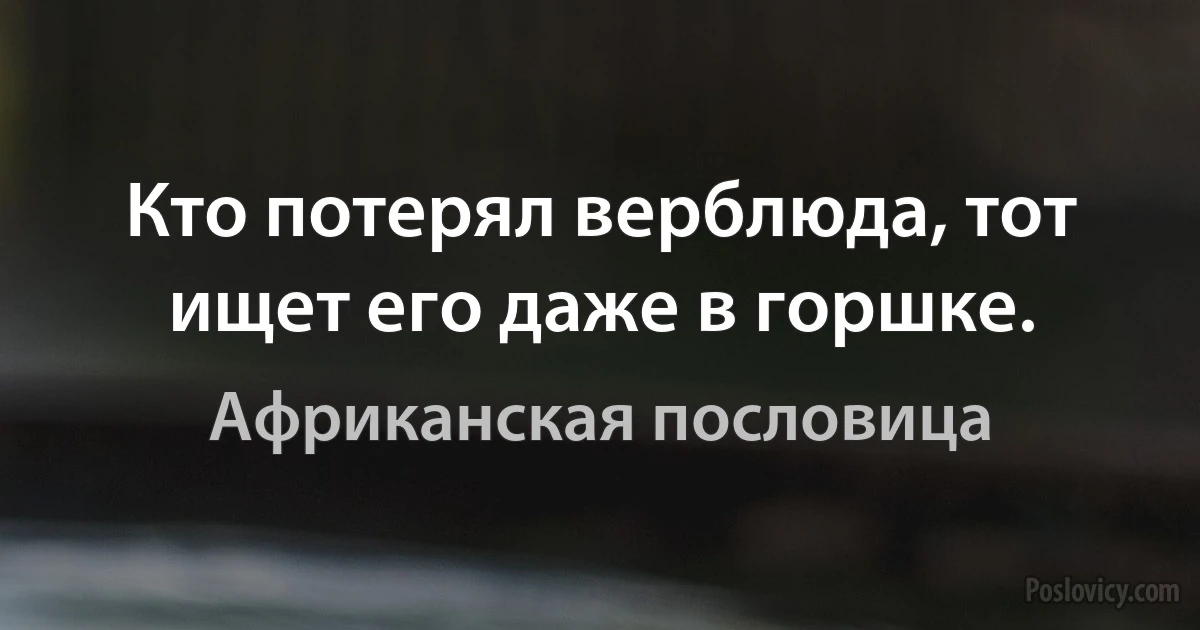 Кто потерял верблюда, тот ищет его даже в горшке. (Африканская пословица)