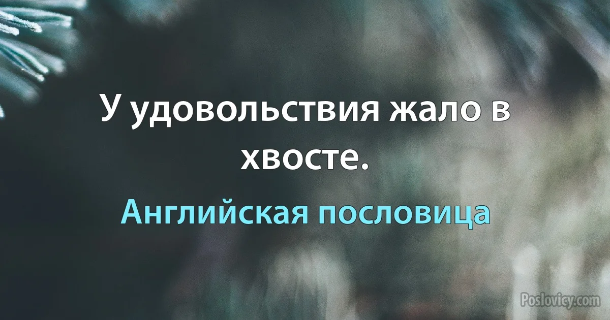 У удовольствия жало в хвосте. (Английская пословица)