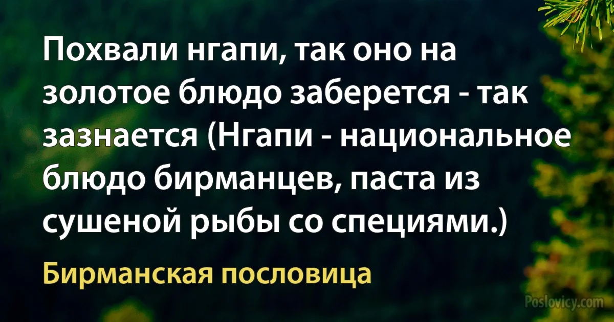 Похвали нгапи, так оно на золотое блюдо заберется - так зазнается (Нгапи - национальное блюдо бирманцев, паста из сушеной рыбы со специями.) (Бирманская пословица)