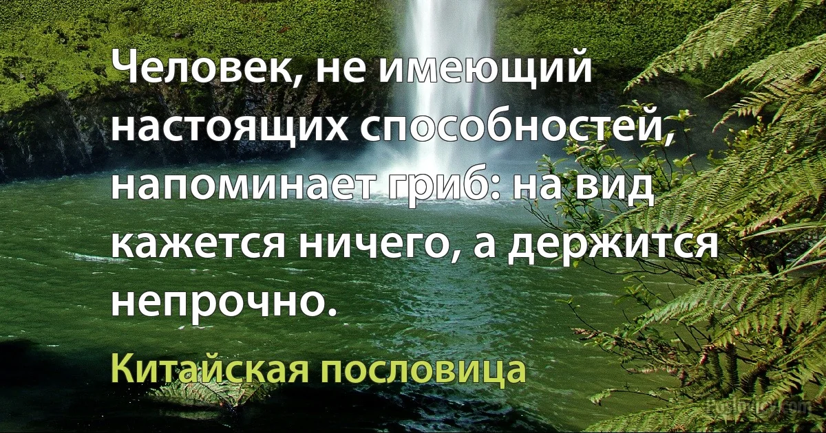 Человек, не имеющий настоящих способностей, напоминает гриб: на вид кажется ничего, а держится непрочно. (Китайская пословица)